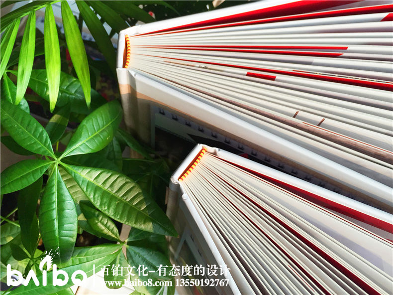 同學(xué)聚會紀(jì)念冊案例-畢業(yè)五十周年【一場大戲】