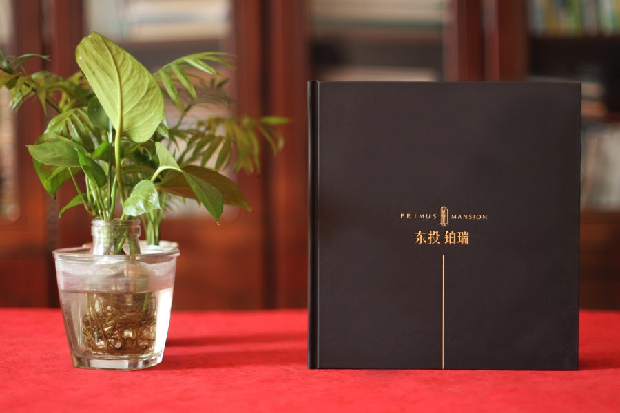 宣傳冊設(shè)計這么做，大氣側(cè)漏！